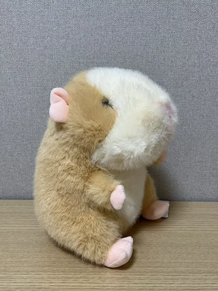 모루못토상 샌디브라운 인형 25cm